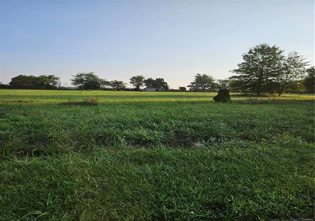 Photo 3 of Land at 0 Fields Dr, Conway, MO 65632 | MLS# MIS23065074 |  | Sold on 2024-10-04