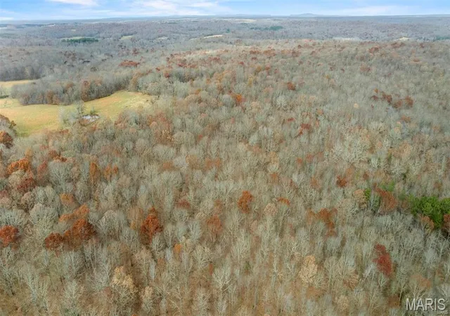 Photo 2 of Farm at 0 Bcr 807, Glen Allen, MO 63751 | MLS# MIS23073029 | | Sold on 2025-12-19