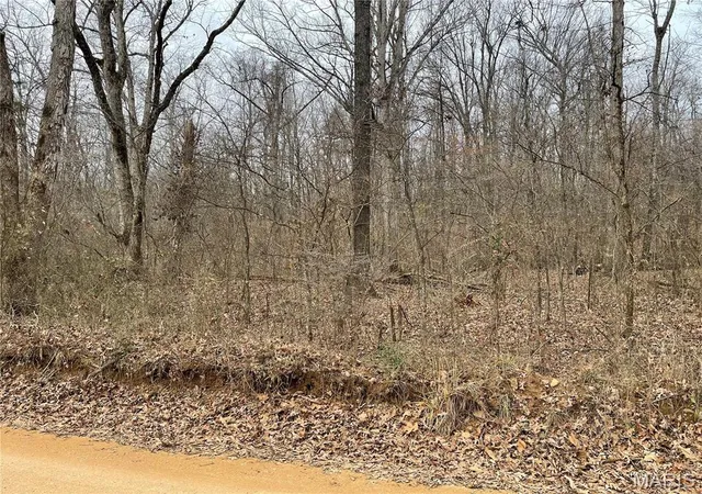 Photo 3 of Land for sale at 0 County Road 160 E 4, Doniphan, MO 63935 | MLS# MIS23074984 | Listing updated on 2025-12-23