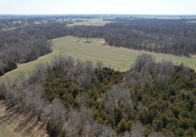 Photo 5 of Farm at 0 Lot #8 - State Hwy 15, Mexico, MO 65265 | MLS# MIS24015699 |  | Sold on 2025-01-23