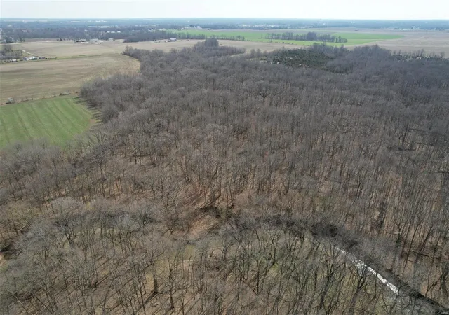 Photo 3 of Farm at 0 Lot #10 - State Hwy 15, Mexico, MO 65265 | MLS# MIS24015701 |  | Sold on 2024-12-20