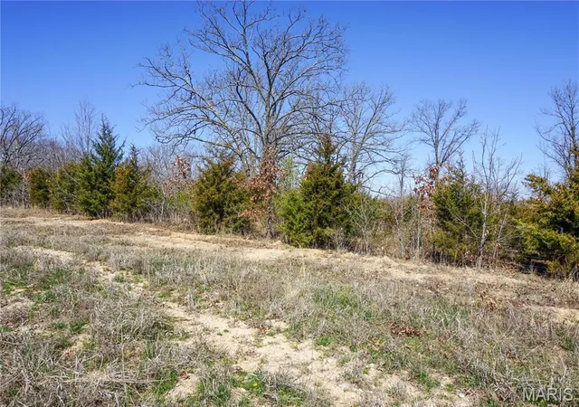 Homes for sale in Newburg, MO | 0 Cr 8170, Newburg, MO 65550 | MLS# MIS24016905