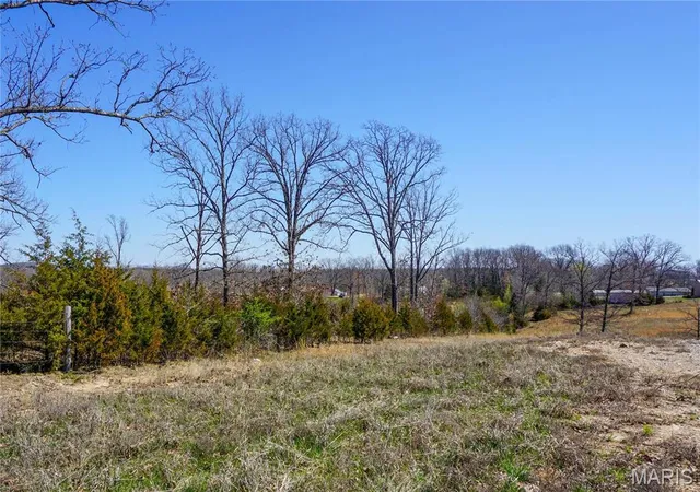 Homes for sale in Newburg, MO | 0 Cr 8170, Newburg, MO 65550 | MLS# MIS24016905