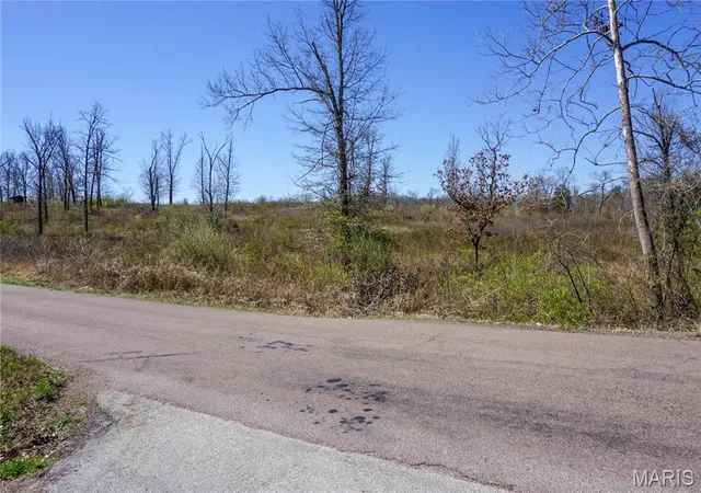 Homes for sale in Newburg, MO | 0 Cr 8170, Newburg, MO 65550 | MLS# MIS24016905
