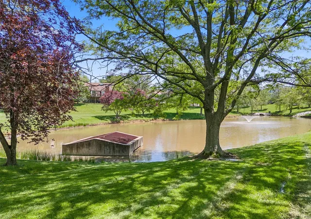 5th image of 217 Country Hollow Ct, Saint Charles, MO 63304 | MLS# MIS24020899