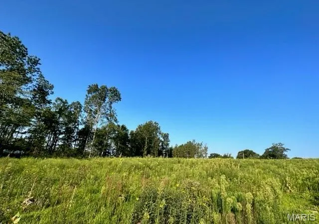 Homes for sale in Mountain View, MO | 0 County Road 3440, Mountain View, MO 65548 | MLS# MIS24024886