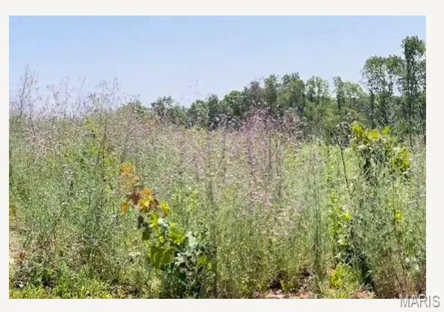 Homes for sale in Mountain View, MO | 0 County Road 3440, Mountain View, MO 65548 | MLS# MIS24024886