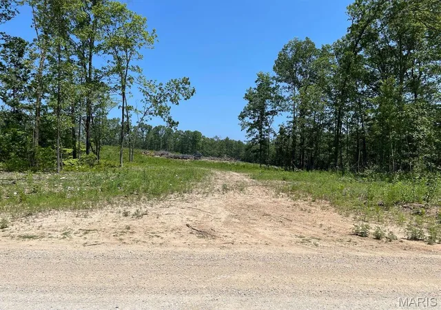 Homes for sale in Mountain View, MO | 0 County Road 3440, Mountain View, MO 65548 | MLS# MIS24024886