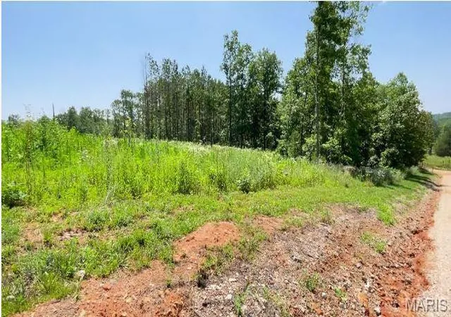 Homes for sale in Mountain View, MO | 0 County Road 3440, Mountain View, MO 65548 | MLS# MIS24024886