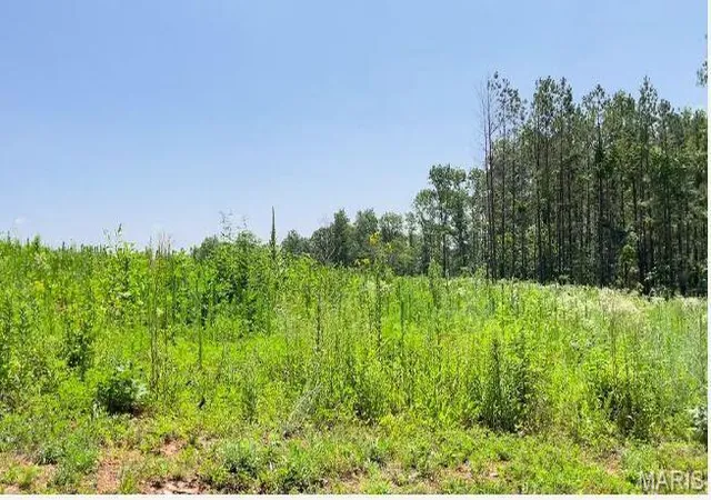 Homes for sale in Mountain View, MO | 0 County Road 3440, Mountain View, MO 65548 | MLS# MIS24024886
