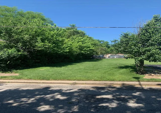 Photo 2 of Land at 1313 January Ave, Saint Louis, MO 63110 | MLS# MIS24028549 |  | Sold on 2024-12-20