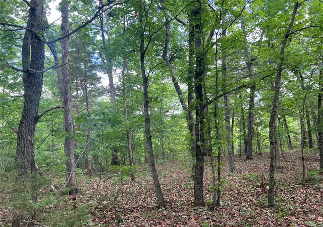 Photo 3 of Land for sale at 12 Acre Lot, Dittmer, MO 63023 | MLS# MIS24029145 | Listing updated on 2025-05-06
