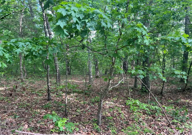 Photo 3 of Land for sale at 12 Acre Lot, Dittmer, MO 63023 | MLS# MIS24029145 | Listing updated on 2025-05-06