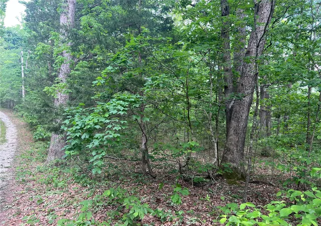 Photo 4 of Land for sale at 12 Acre Lot, Dittmer, MO 63023 | MLS# MIS24029145 | Listing updated on 2025-05-06