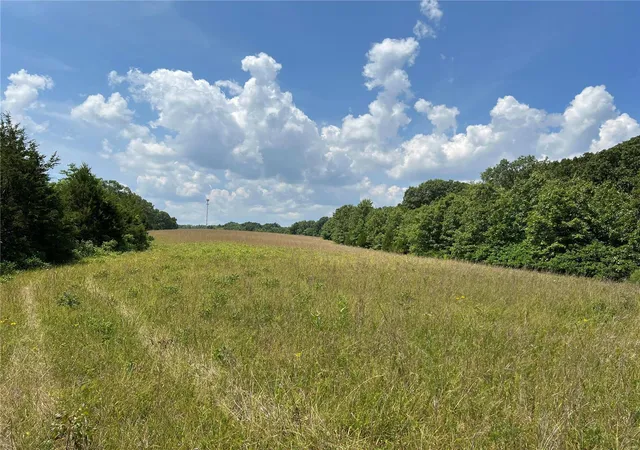 Photo 1 of Sale Pending at 5232 Hobby Farms Dr, De Soto, MO 63020 | MLS# MIS24030926 | Listing updated on 2025-05-06