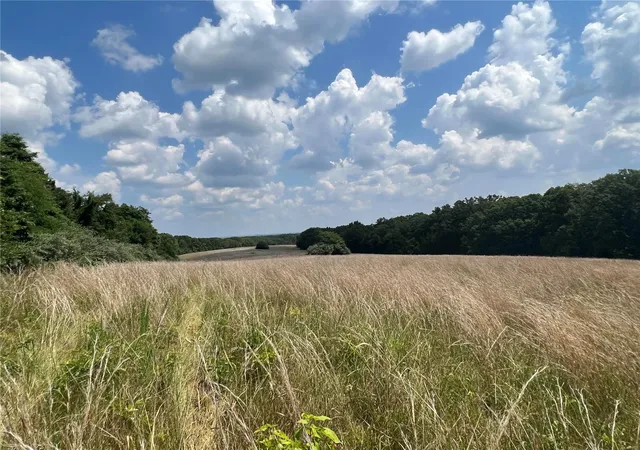 Photo 3 of Sale Pending at 5232 Hobby Farms Dr, De Soto, MO 63020 | MLS# MIS24030926 | Listing updated on 2025-05-06