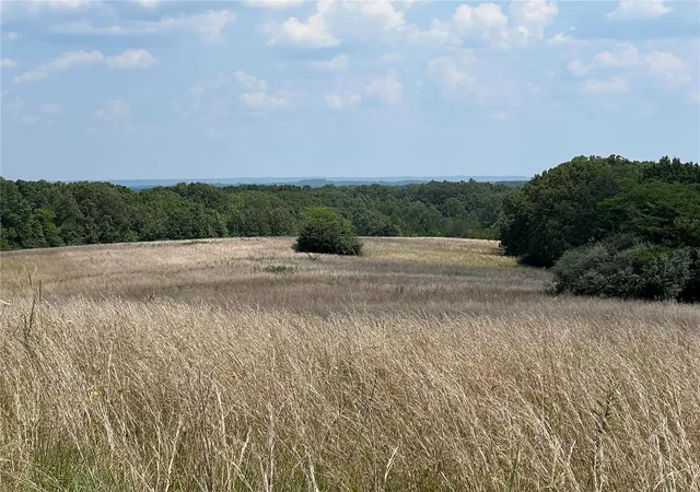 Photo 4 of Sale Pending at 5224 Hobby Farms Dr, De Soto, MO 63020 | MLS# MIS24030927 | Listing updated on 2025-05-06