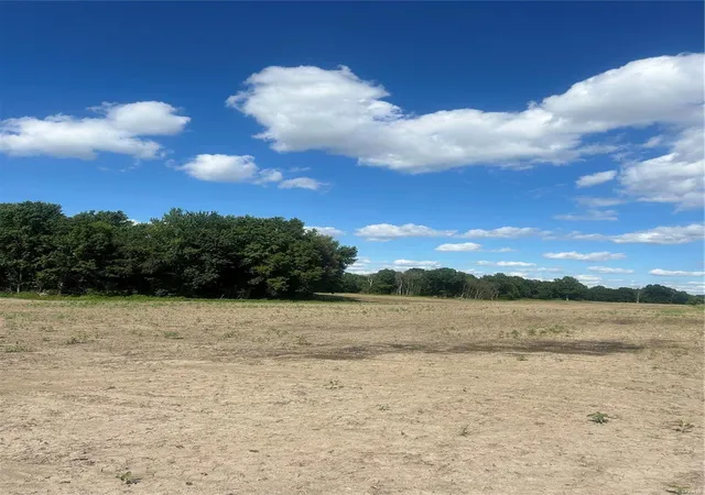 Photo 3 of Farm at 0 May Apple Rd, Middletown, MO 63359 | MLS# MIS24036725 | | Sold on 2025-01-14