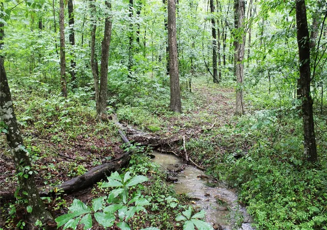Photo 3 of Farm at 0 County Road 500, Marble Hill, MO 63764 | MLS# MIS24044744 |  | Sold on 2025-05-22