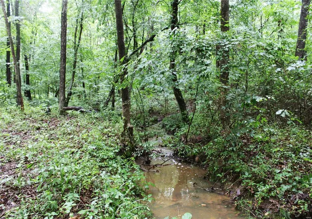 Photo 5 of Farm at 0 County Road 500, Marble Hill, MO 63764 | MLS# MIS24044744 |  | Sold on 2025-05-22