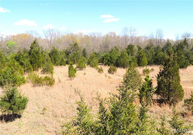 Homes for sale in Perryville, MO | 1 Cinque Hommes Dr, Perryville, MO 63775 | MLS# MIS24047807