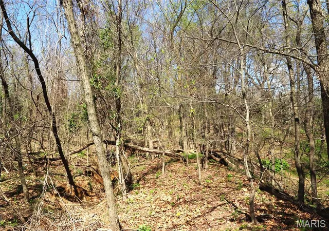 Photo 3 of Land for sale at 1 Cinque Hommes Dr, Perryville, MO 63775 | MLS# MIS24047807 | Listing updated on 2026-10-06
