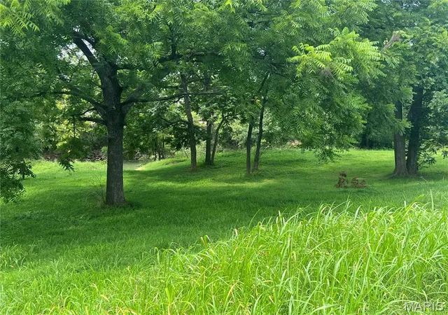 1st image of 707 Riverview Dr N, Poplar Bluff, MO 63901 | MLS# MIS24048031