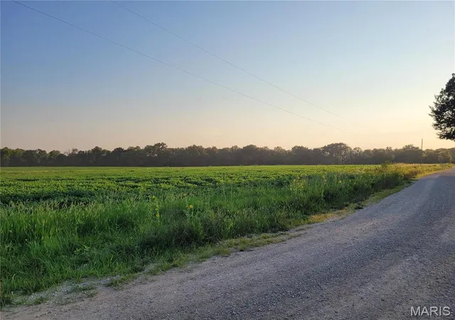 Photo 1 of House for sale at 0 Hwy Dd (17+/- Ac) Tract B, Bellflower, MO 63333 | MLS# MIS24048859 | Listing updated on 2025-07-07