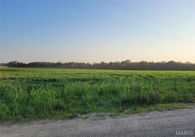 Photo 1 of House for sale at 0 Hwy Dd (15+/- Ac) Tract C, Bellflower, MO 63333 | MLS# MIS24048860 | Listing updated on 2025-07-07