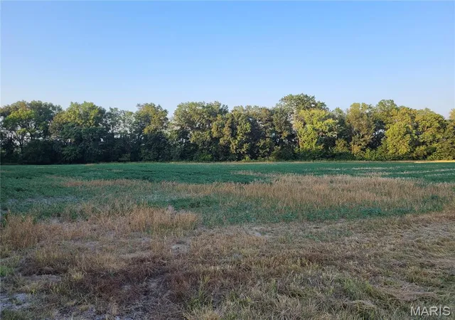 Photo 1 of House for sale at 0 Hwy Dd (5+/- Ac) Tract D, Bellflower, MO 63333 | MLS# MIS24048862 | Listing updated on 2025-07-07