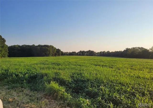 Photo 1 of House for sale at 0 Hwy Dd (8569+/- Ac) Tract E, Bellflower, MO 63333 | MLS# MIS24048866 | Listing updated on 2026-01-26