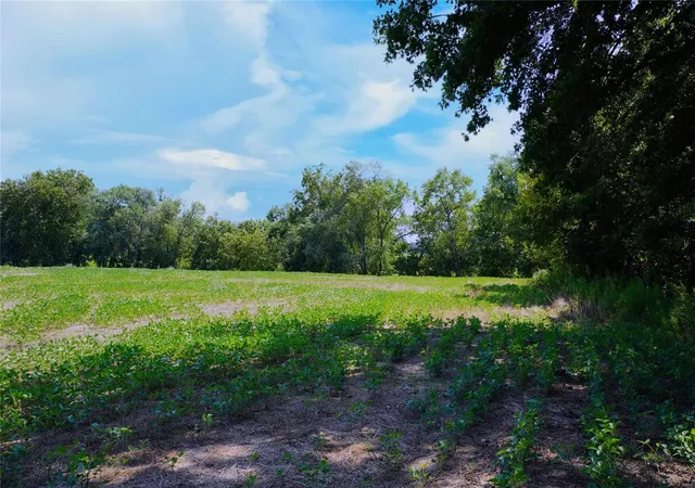 Photo 1 of Farm at 185 Penny Lane & County Rd 275, Morrison, MO 65061 | MLS# MIS24050707 | | Sold on 2024-10-10