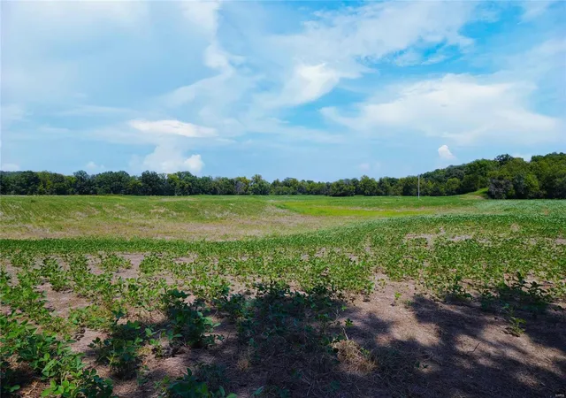 Photo 3 of Farm at 185 Penny Lane & County Rd 275, Morrison, MO 65061 | MLS# MIS24050707 | | Sold on 2024-10-10