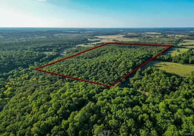 Photo 5 of Farm at 0 52736N14W, Stoutland, MO 65567 | MLS# MIS24053770 | | Sold on 2025-03-07