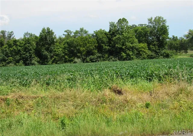 Photo 11 of Land for sale at 0 Wood Station Rd, Alton, IL 62002 | MLS# MIS24053872 | Listing updated on 2026-08-06