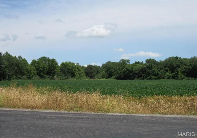 Photo 4 of House for sale at 0 Wood Station Rd, Alton, IL 62002 | MLS# MIS24053872 | Listing updated on 2026-08-06