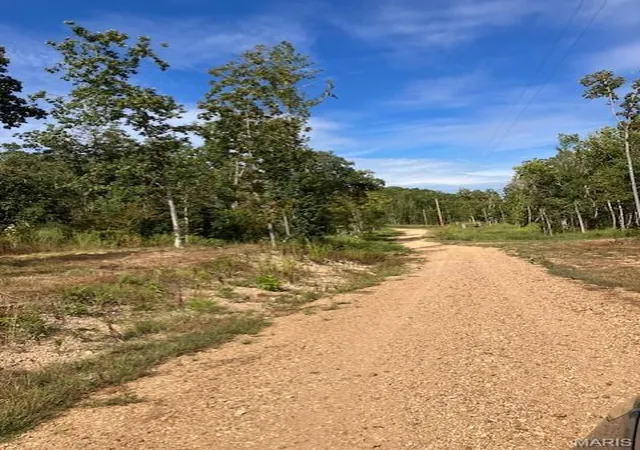 Photo 1 of Land for sale at 91 Madison Cr 410, Fredericktown, MO 63645 | MLS# MIS24055638 | Listing updated on 2026-08-21