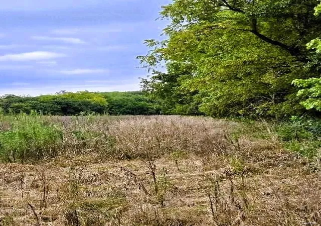Photo 5 of Farm at 0 Hwy J, Fulton, MO 65251 | MLS# MIS24056137 |  | Sold on 2025-04-25