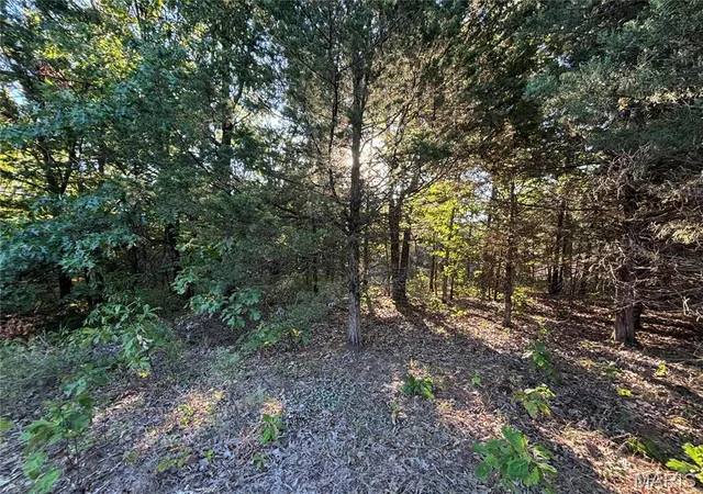 Photo 2 of Land at 6 Appaloosa Trl, Monroe, MO 63456 | MLS# MIS24056969 | | Sold on 2025-08-12