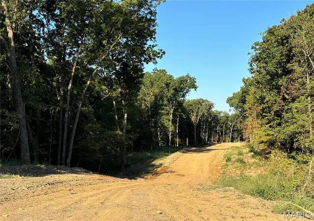 Photo 3 of Land at 6 Appaloosa Trl, Monroe, MO 63456 | MLS# MIS24056969 | | Sold on 2025-08-12
