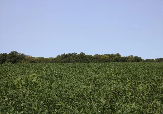 Photo 1 of Farm at 17269 Monroe Road 709, Paris, MO 65275 | MLS# MIS24057063 | | Sold on 2025-01-02