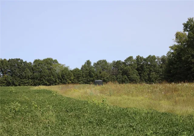 Photo 3 of Farm at 17269 Monroe Road 709, Paris, MO 65275 | MLS# MIS24057063 | | Sold on 2025-01-02