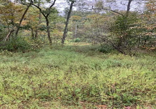 Photo 3 of Farm at 31 Madison Cr 410, Fredericktown, MO 63645 | MLS# MIS24058997 |  | Sold on 2025-05-08