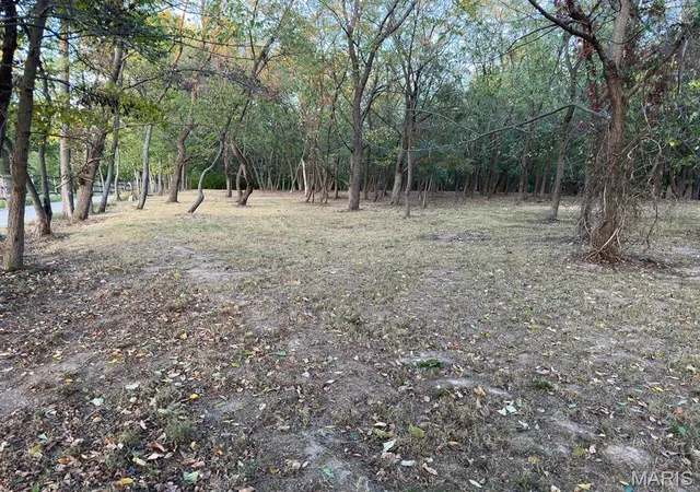 Photo 4 of Land at 13232 East Ln, Saint Louis, MO 63128 | MLS# MIS24060294 | | Sold on 2025-12-23