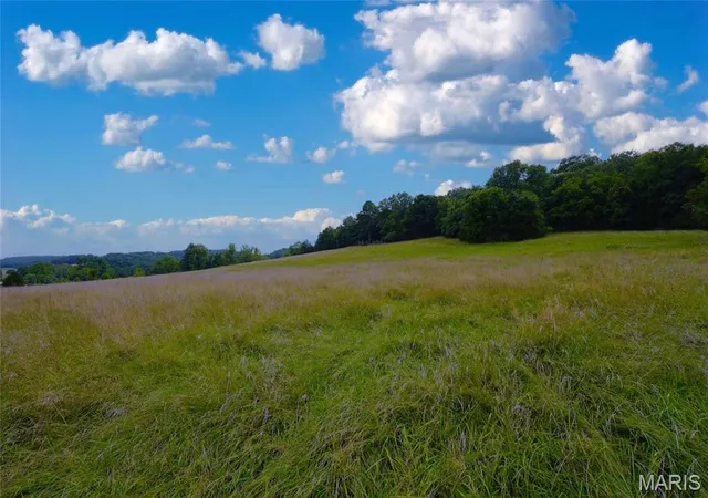 Photo 4 of Farm at 33 Hwy 100, Linn, MO 65051 | MLS# MIS24061198 | | Sold on 2025-09-19