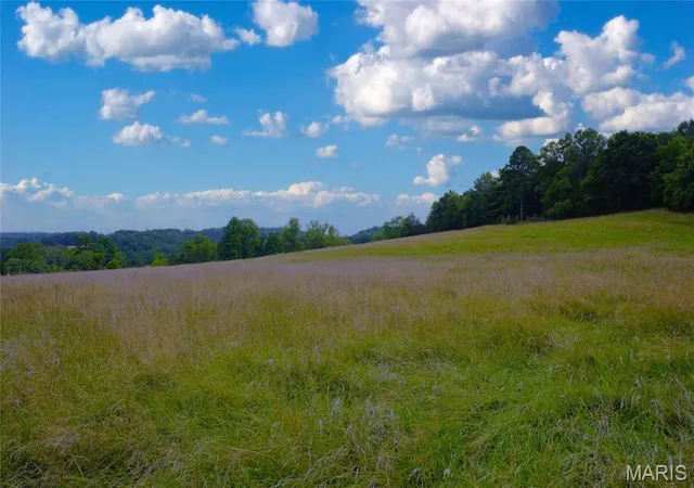 Photo 5 of Farm at 33 Hwy 100, Linn, MO 65051 | MLS# MIS24061198 | | Sold on 2025-09-19