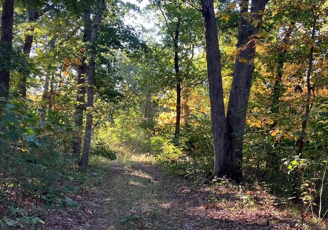 Photo 2 of Farm at 0 Cr 250, Bethel, MO 63434 | MLS# MIS24061450 | | Sold on 2025-01-30