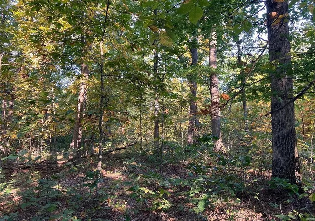 Photo 3 of Farm at 0 Cr 250, Bethel, MO 63434 | MLS# MIS24061450 | | Sold on 2025-01-30