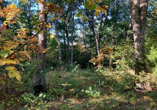 Photo 5 of Farm at 0 Cr 250, Bethel, MO 63434 | MLS# MIS24061450 | | Sold on 2025-01-30