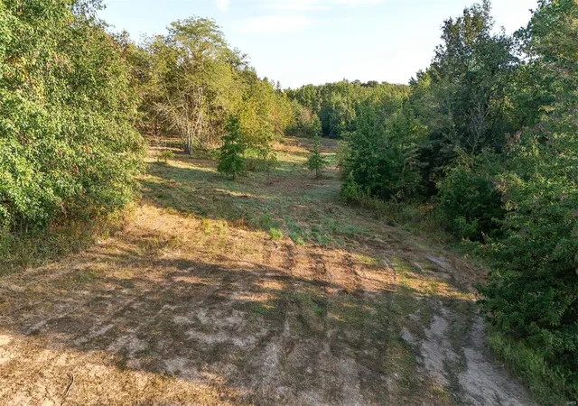 Photo 4 of Agriculture at 41071 Washington (Lot #12) Ln, Perry, MO 63462 | MLS# MIS24061646 | | Sold on 2025-04-04